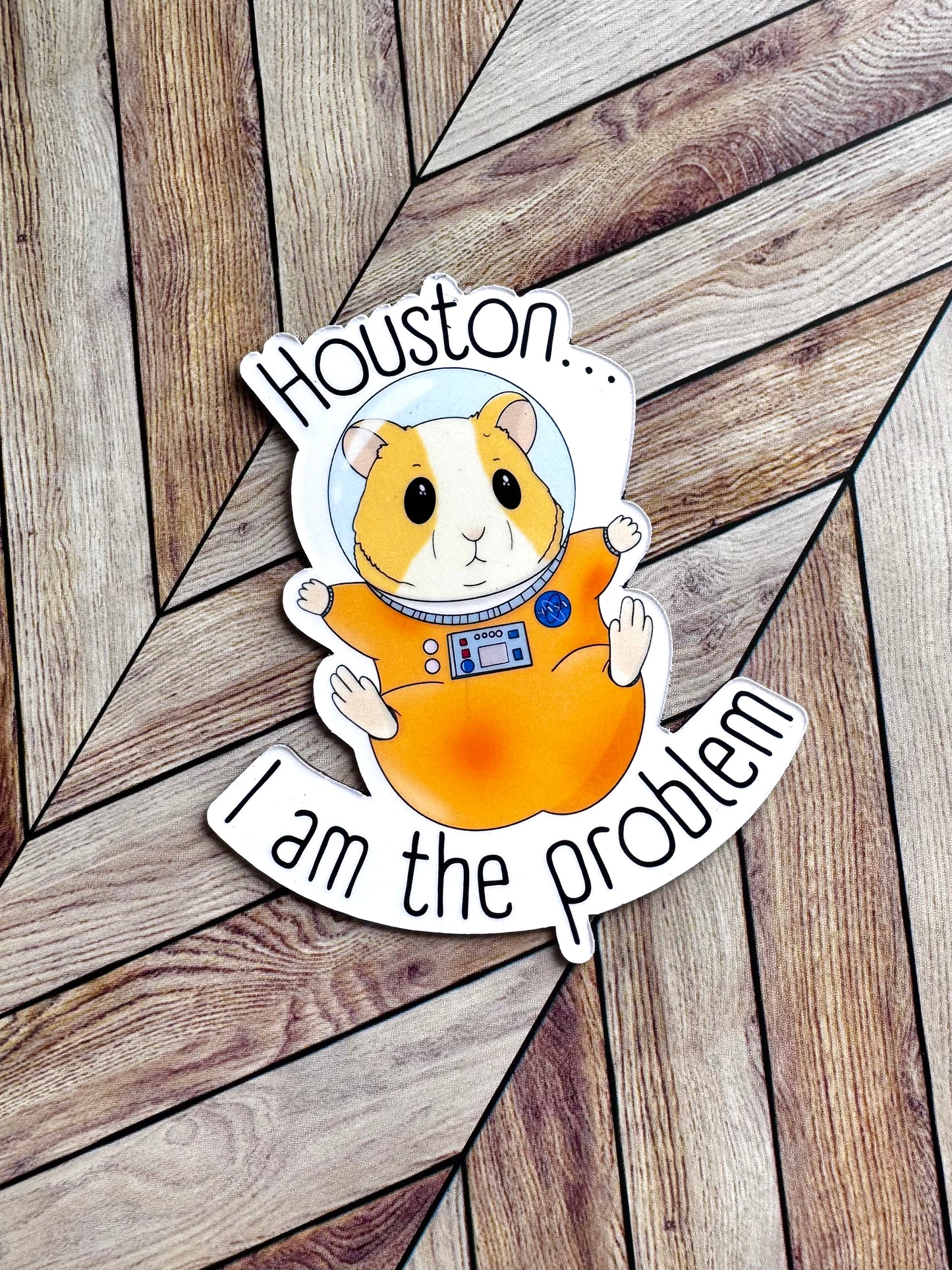 Houston I am the Problem Magnet