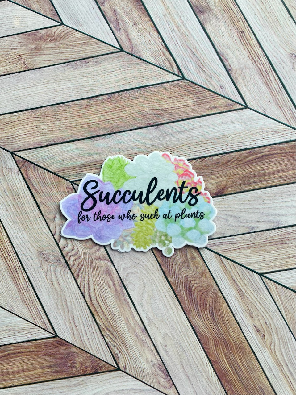 Medium Succulent Sticker