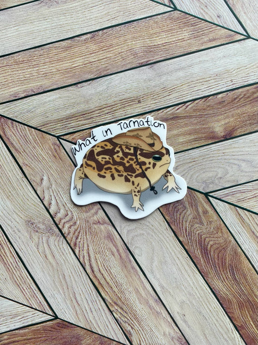 Mini Desert Rain Frog Sticker