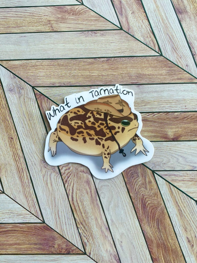 Desert Rain Frog Sticker