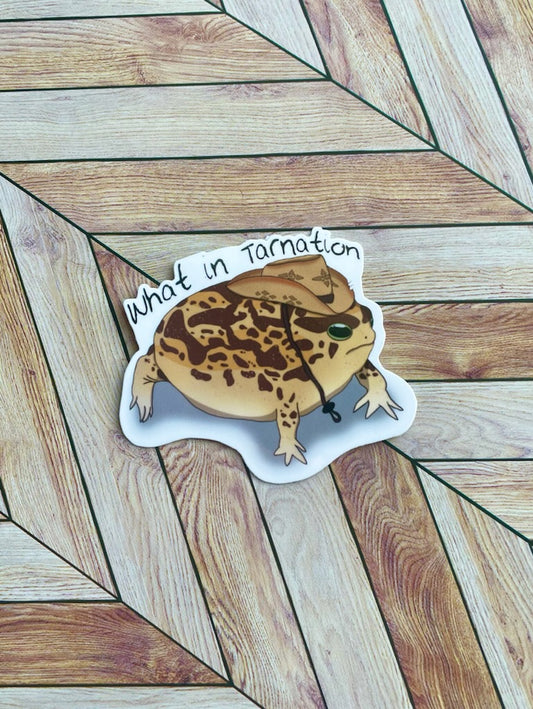 Desert Rain Frog Sticker